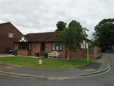 Picture 21